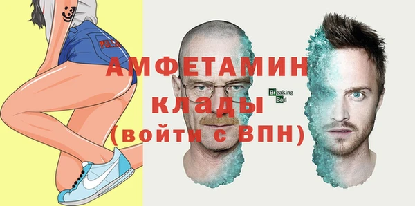 сатива Тайга