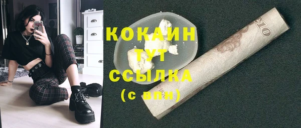 гашик Арсеньев