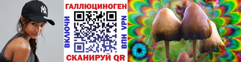 Псилоцибиновые грибы Psilocybe  Михайловск 